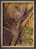 Buy Rainforest Suite II at AllPosters.com