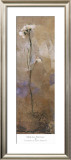Buy Flowers of June Series II at AllPosters.com