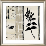 Buy Acacia at AllPosters.com