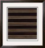 Stripe Vision IV