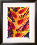 Buy Heliconia at AllPosters.com