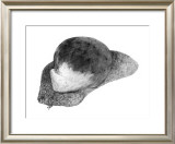 Abstract White Creature on a Rock