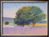 Buy Trees in Provence at AllPosters.com