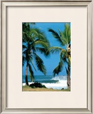 Buy Spot d'Haleiwa at AllPosters.com