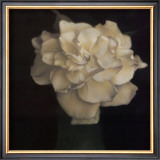 Buy Gardenia in Green Vase at AllPosters.com