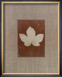 Silver Leaf III