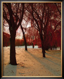 Buy Autumn Snow II at AllPosters.com