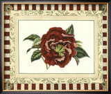 Buy Camelia Reticulata at AllPosters.com