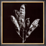 Buy Simplicity at AllPosters.com