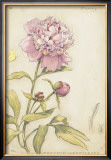 Buy Peony III at AllPosters.com