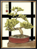 Zen Bonsai I