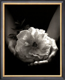 Buy Offrande at AllPosters.com