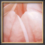 Buy Tulip Trio I at AllPosters.com