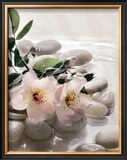 Buy Spring Retreat III at AllPosters.com