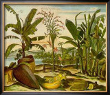 Tropical Fruits II