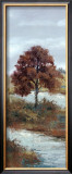 River Elm