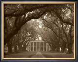 Buy Oak Alley at AllPosters.com