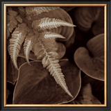 Buy Painted Ferns I at AllPosters.com