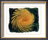 Buy Coup de Foudre III at AllPosters.com