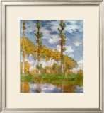 Poplars at Giverny