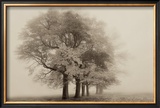 Buy Harmony in Fog at AllPosters.com