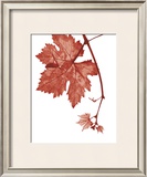 Buy Red Bud at AllPosters.com