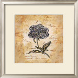 Buy Hydrangea at AllPosters.com