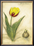 Buy Keizerskroon Tulip at AllPosters.com