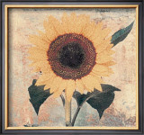 Buy Sunflower at AllPosters.com