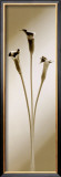 Buy Calla at AllPosters.com