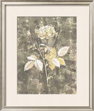 Buy Silver Rose II at AllPosters.com