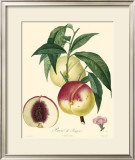 Buy Peaches at AllPosters.com