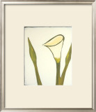 Buy Arum, c.2003 at AllPosters.com