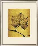 Buy Golden Time I at AllPosters.com