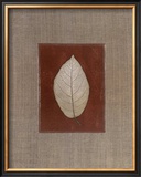 Silver Leaf I