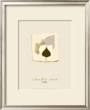 Buy Aspen at AllPosters.com