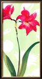 Buy Asian Lily at AllPosters.com