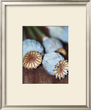 Buy Expressive Formation at AllPosters.com
