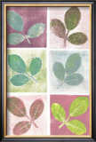 Leaf Impressions