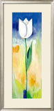 Buy Single White Tulip at AllPosters.com