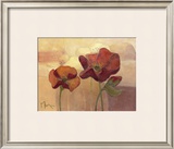 Buy Poppy Dream at AllPosters.com
