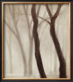 Buy Forest III at AllPosters.com