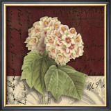 Buy Postcard Snowball at AllPosters.com
