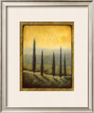 Buy Morning Path II at AllPosters.com