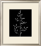 Wild Grasses I