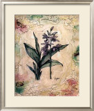 Buy Daffodils at AllPosters.com