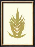 Lowes Fern II
