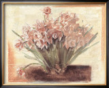 Buy Bunch of Narcissus at AllPosters.com