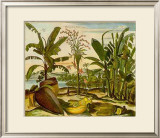 Tropical Fruits II