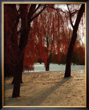 Buy Autumn Snow I at AllPosters.com